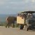People On Safari